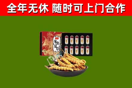 高安烟酒回收冬虫夏草礼盒.jpg