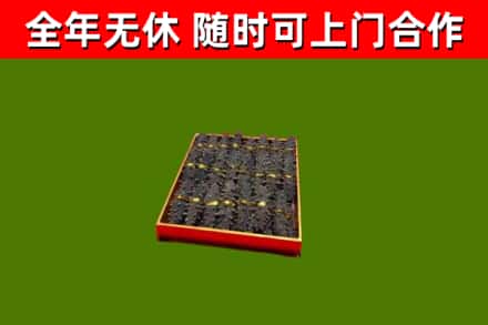 高安回收海参